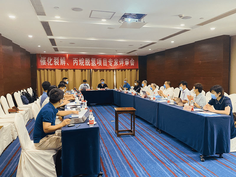 卓er不群 | 追光路上的“立异力”